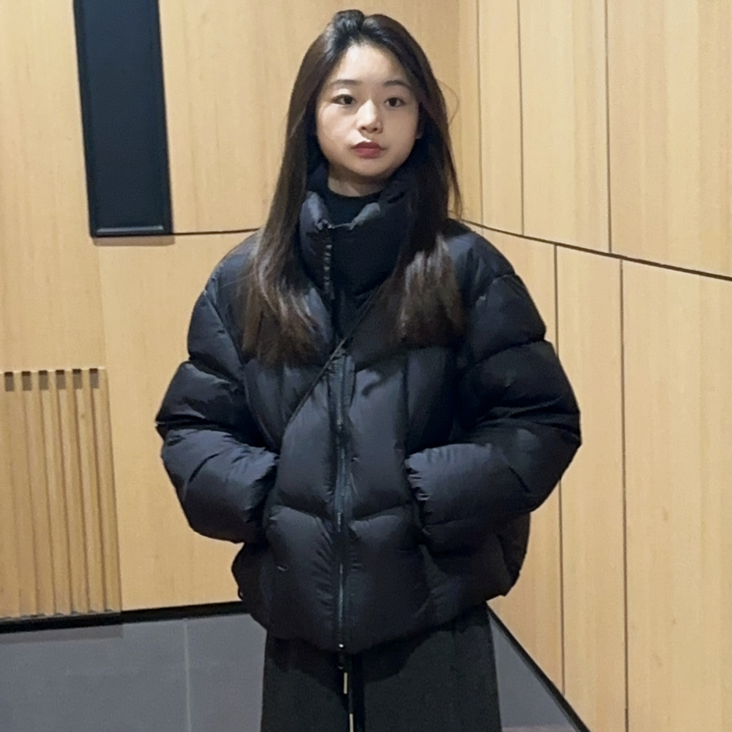  1915极简哑光立领新国标90白鸭绒羽绒服