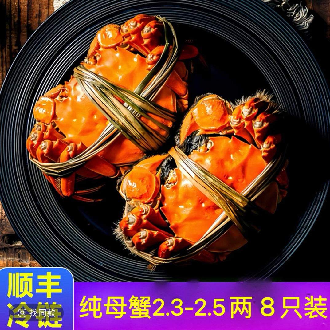 【鲜活现发】大闸蟹2.5两母 8只礼盒装 全母蟹2.3-2.5两 顺丰包邮