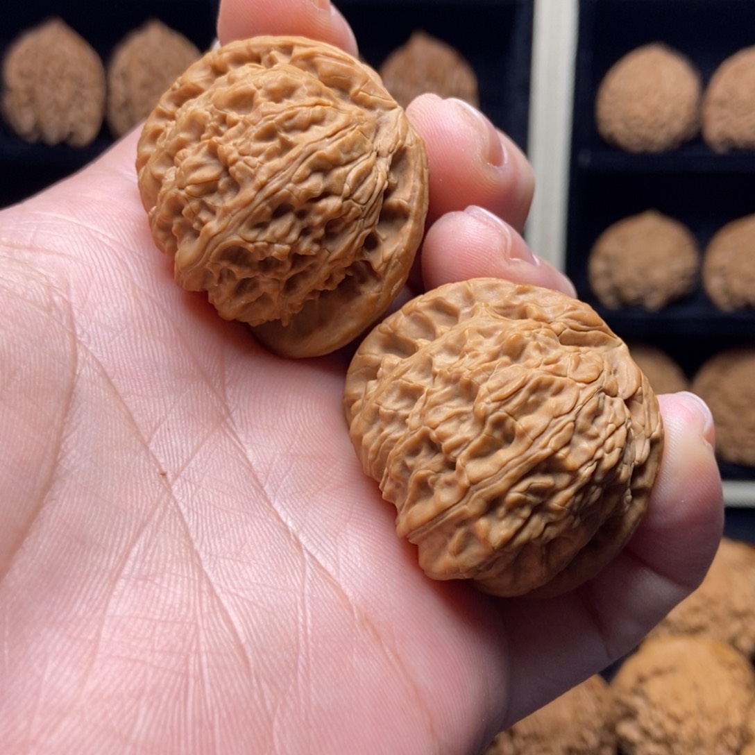 吊坠文玩核桃41白狮子微黄