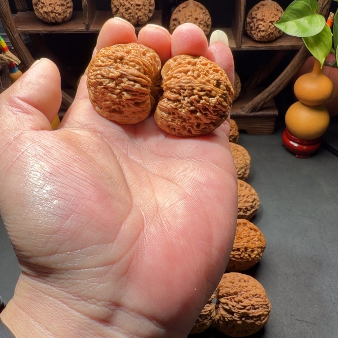 把件文玩核桃南疆石团子凹底蚂蚁拉丝尺寸39