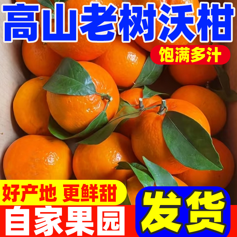 正宗云南沃柑新鲜橘子水果砂糖包邮橘柑桔子鸣当季整箱沃柑