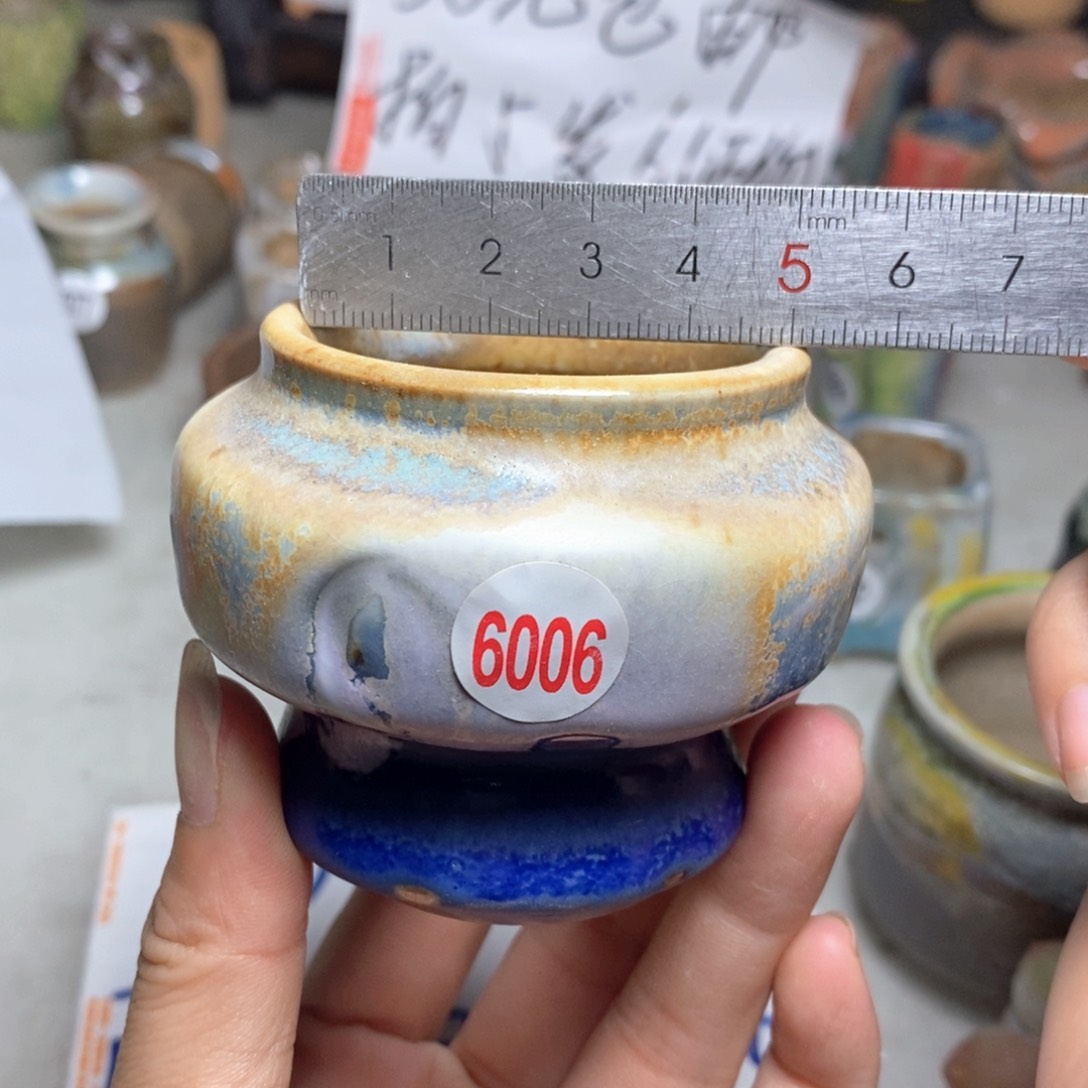 拍5送一个小礼物