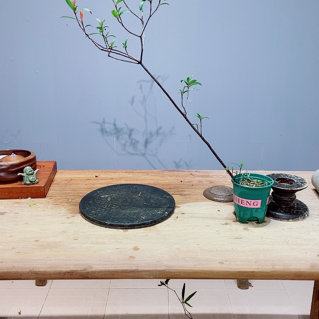 无花朵尘***忆感谢您的支持和配合