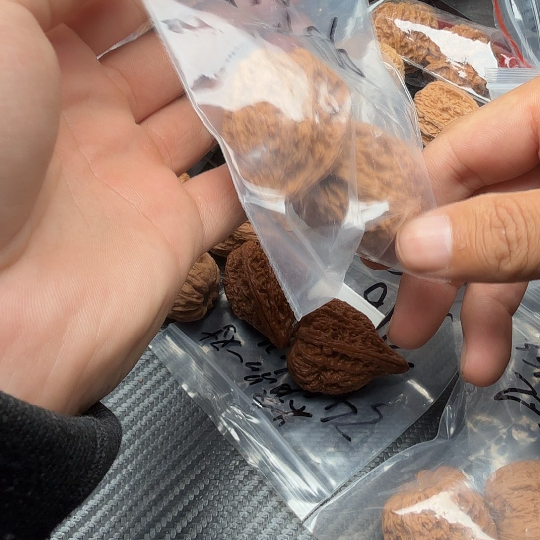 桃核吊坠福利塔尖核桃406