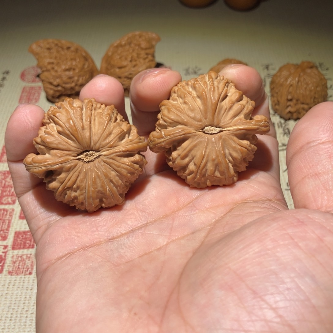 文玩核桃把件?*张白狮子43尺全品