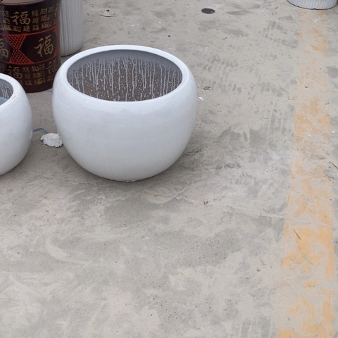 白圆球特大 口38/32