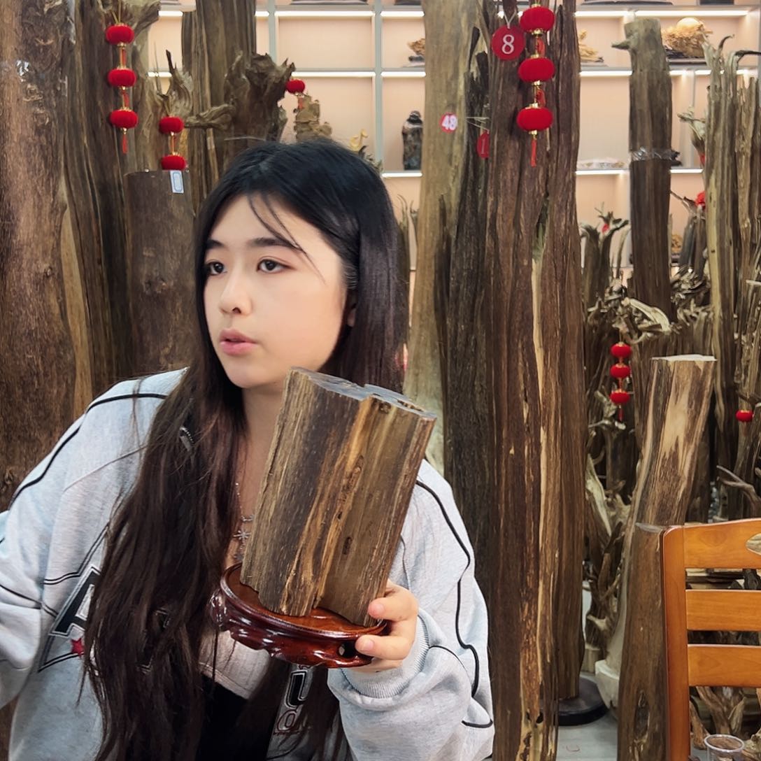 沉香摆件沉香原料摆件