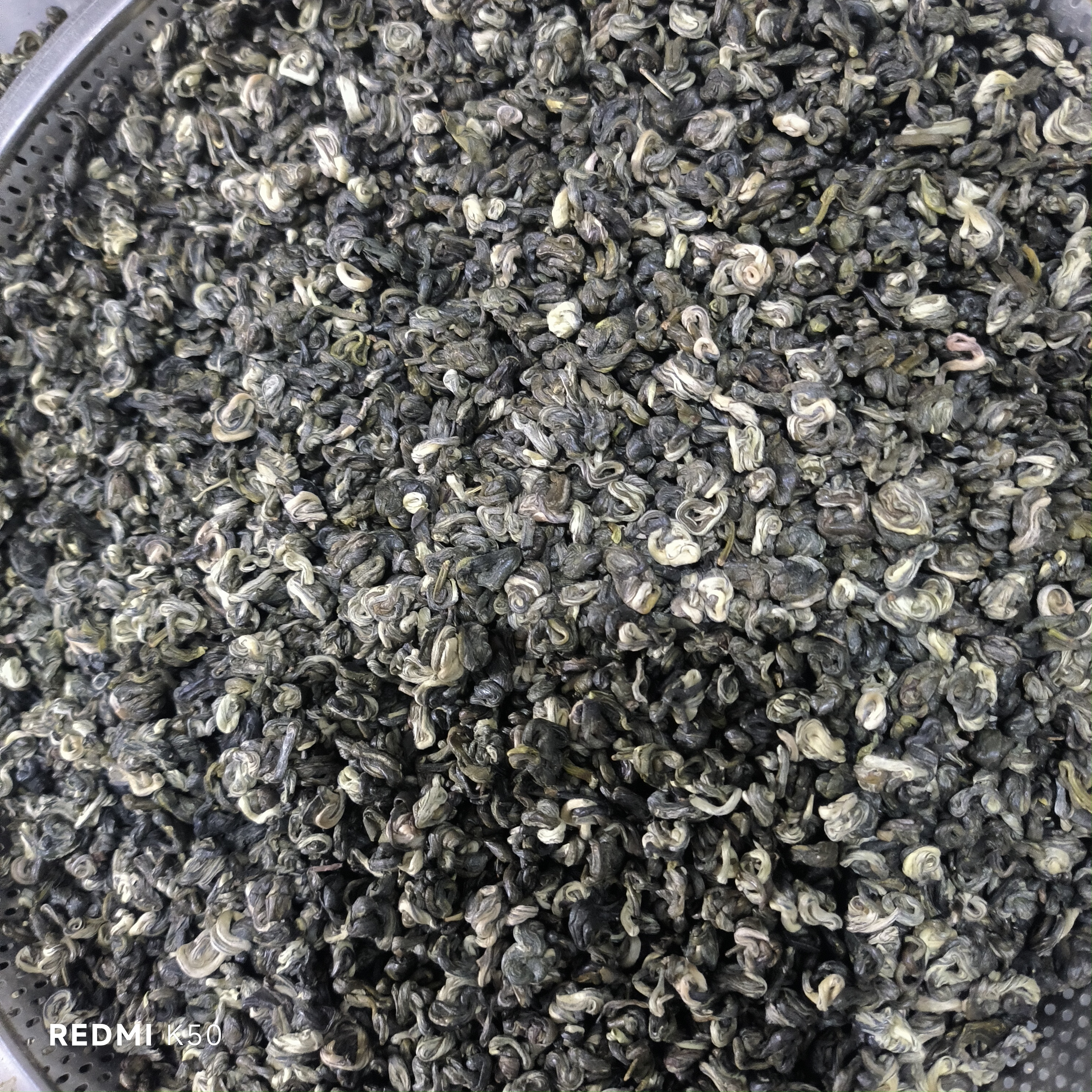 云南碧螺春绿茶新茶浓香型耐泡十号茶