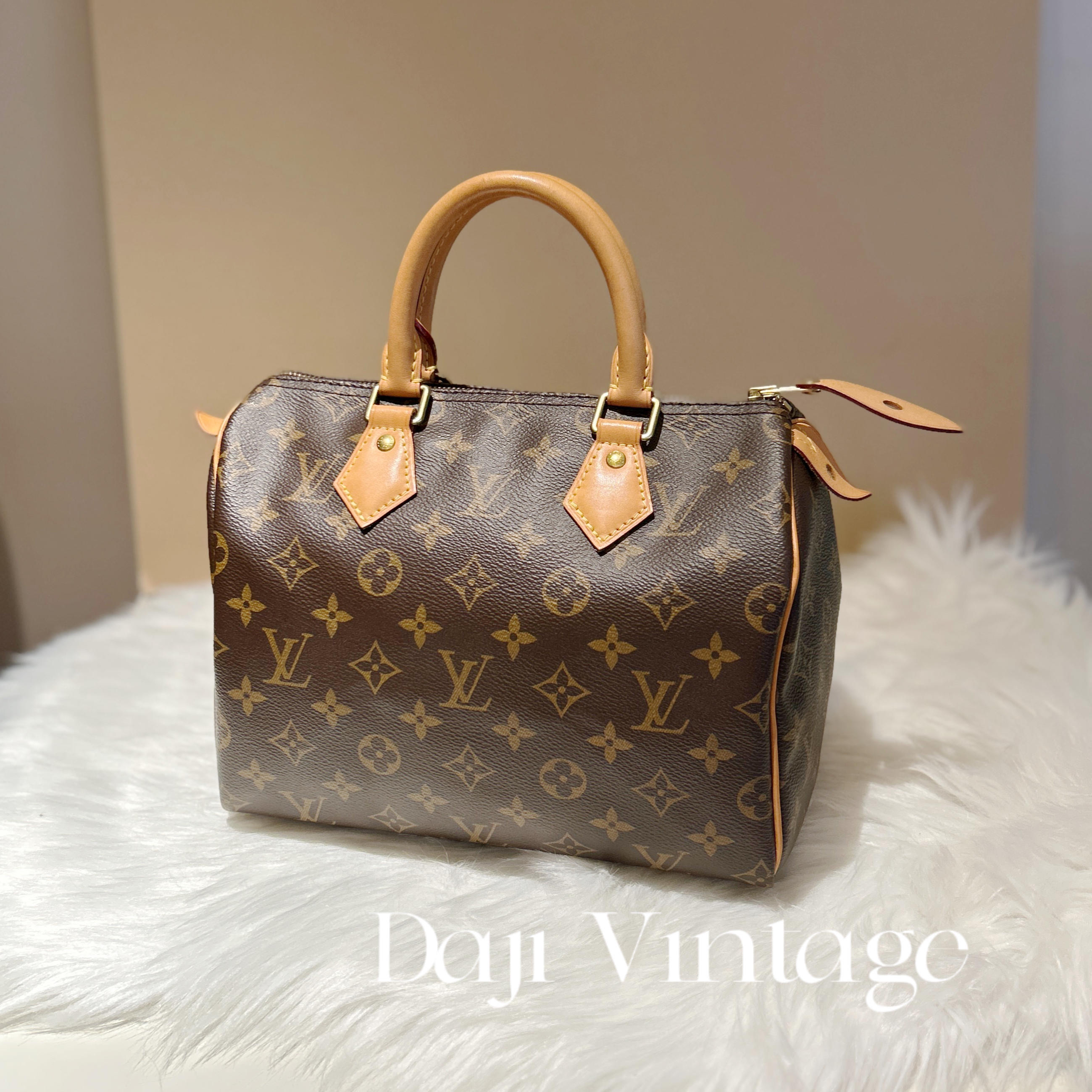 95新 LouisVuitton/路易威登 大吉一店/speedy25无肩带款手提包