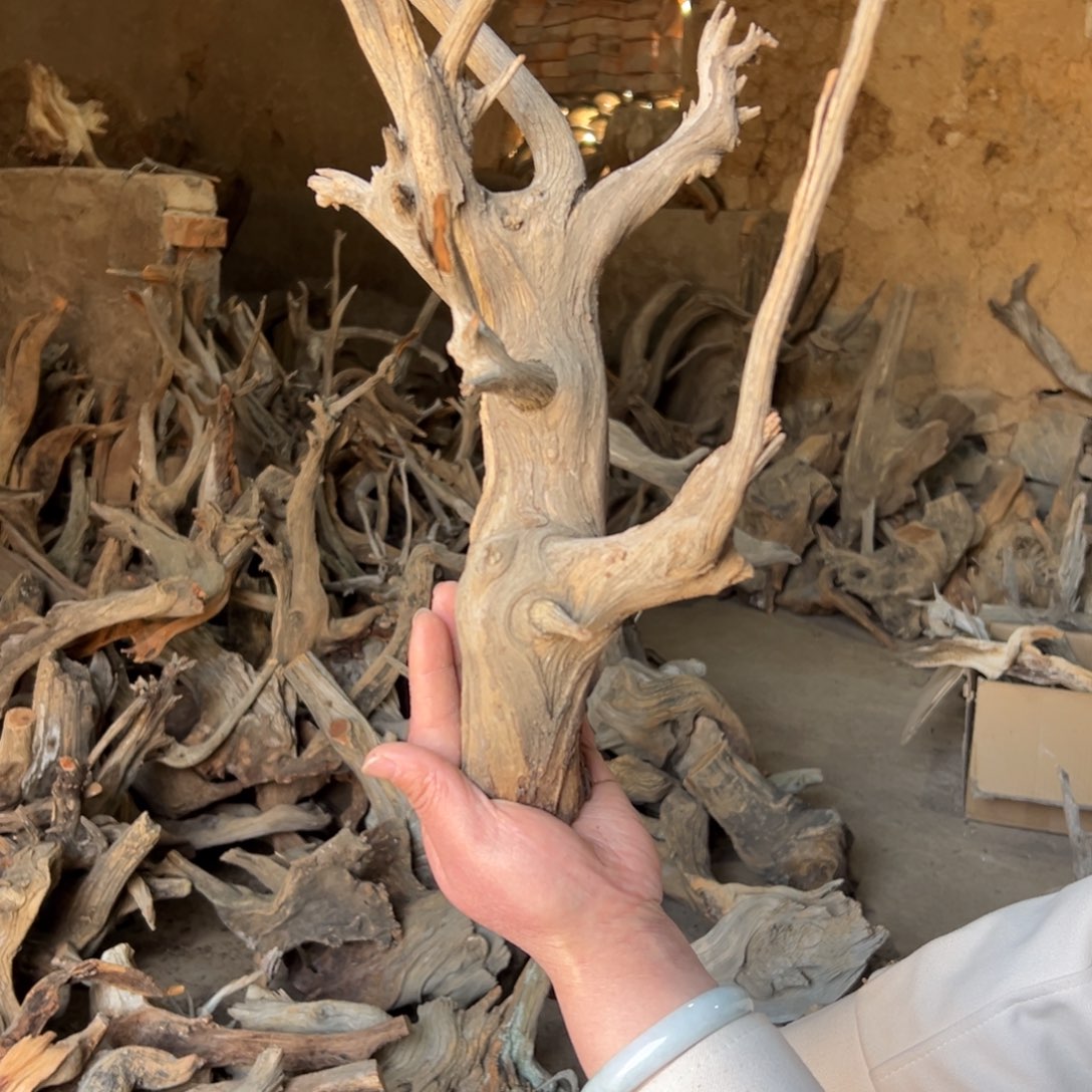 柏木（崖柏）悦*文玩崖柏