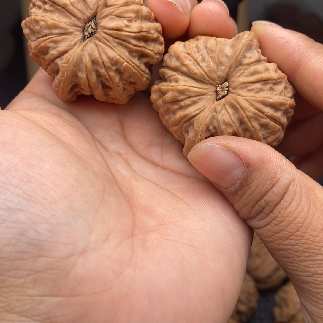 文玩核桃把件39.5血麒麟