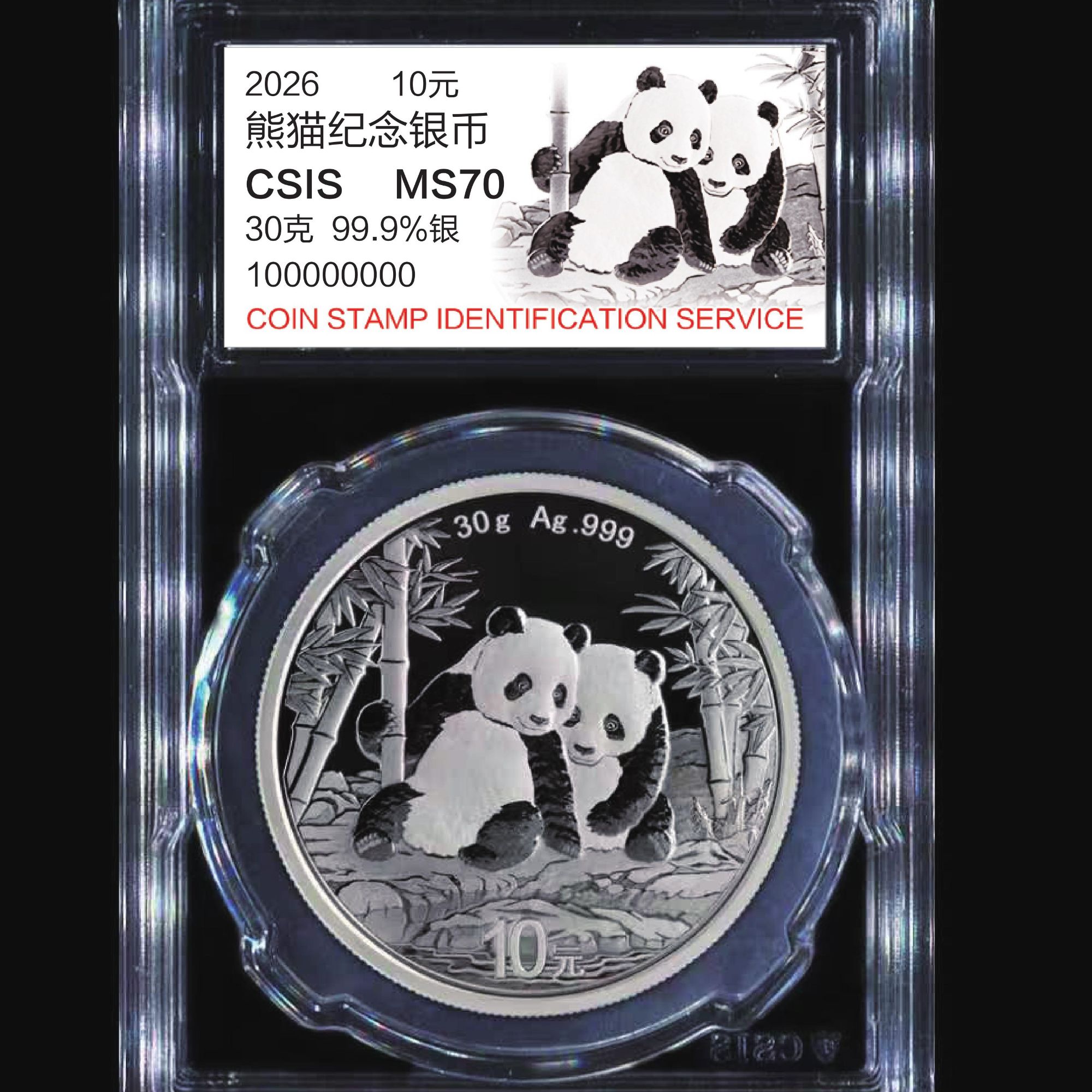 （封装版）2026年中国熊猫银币30克999纯银 （支持银行鉴定）