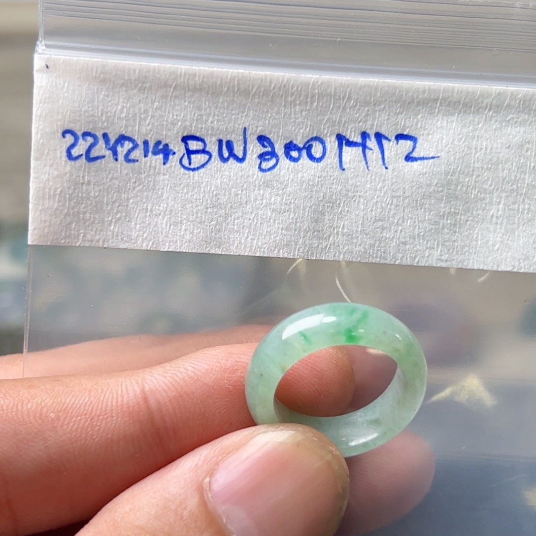 定制翡翠未镶嵌阁****仙