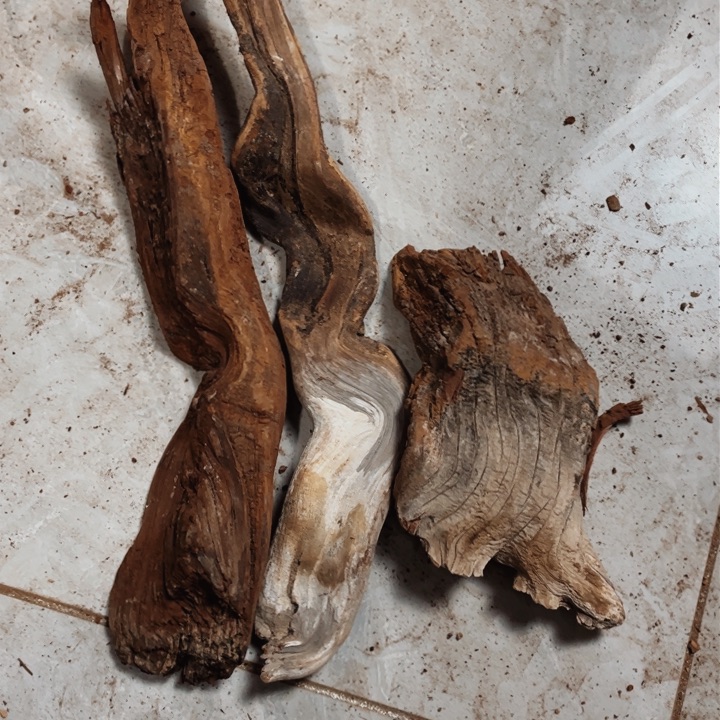 有机玻璃快**仙木木木木木木