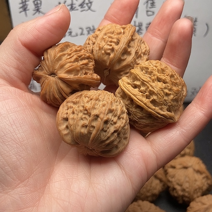 동***.大大大大大大狮子