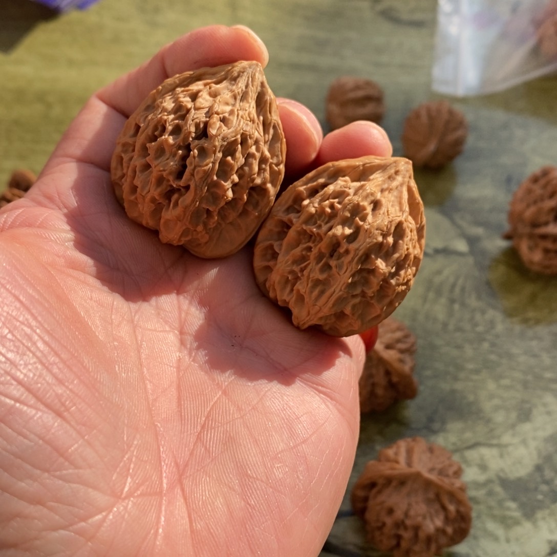 秦岭南侧和东北北部分别位于