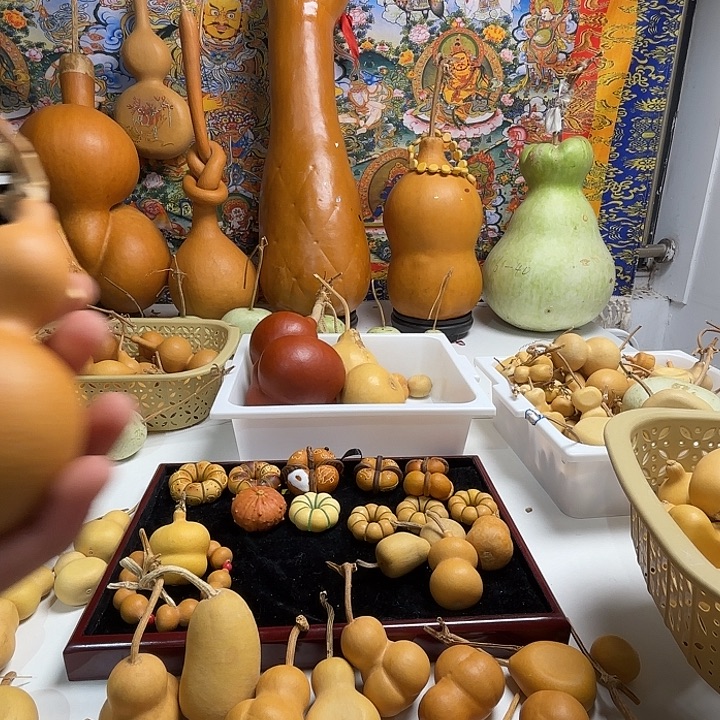 来来来咯偶如图二