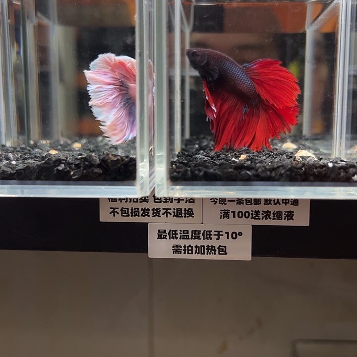 斗鱼跑单拉黑24日8190