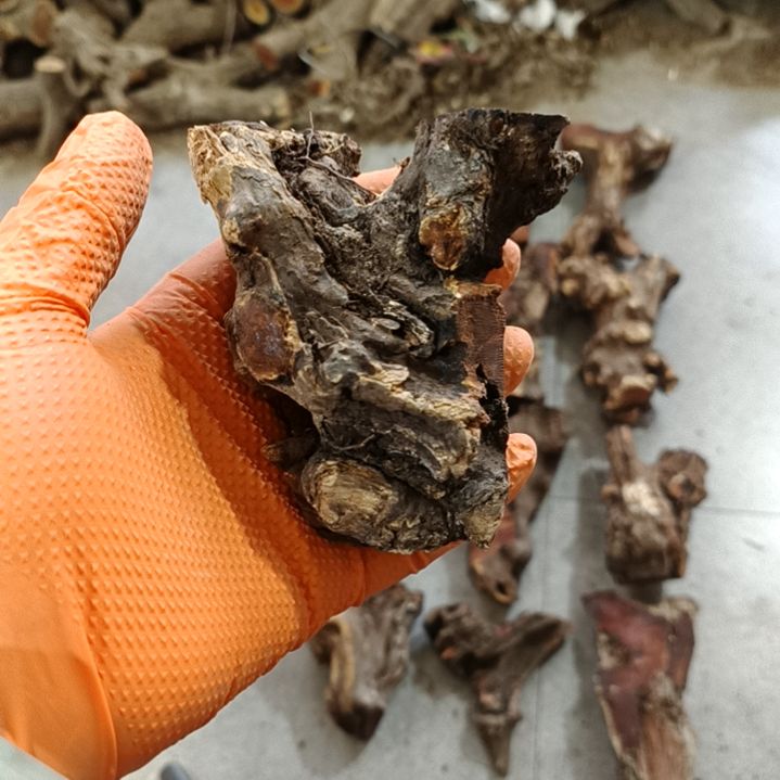香榧木火琉璃疙瘩毛料毛料毛料