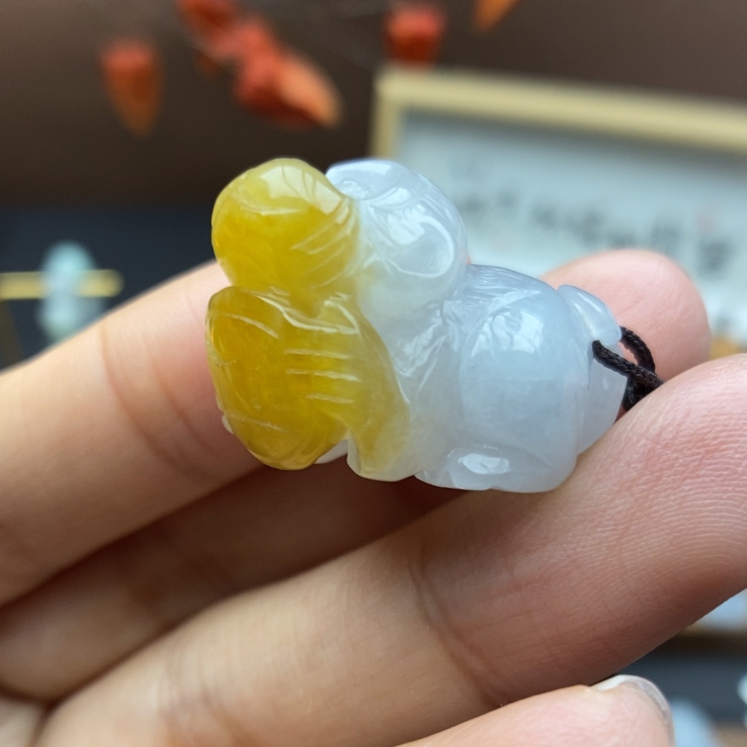 【闪购商品】颈饰未镶嵌翡翠29