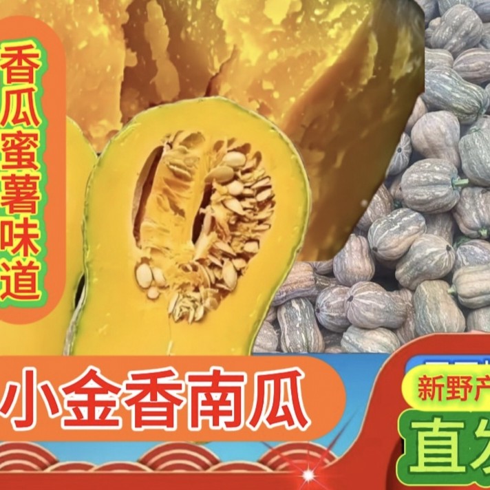 新鲜金香南瓜营养宝宝辅食软糯香甜农家自种夏季减肥轻食蔬菜