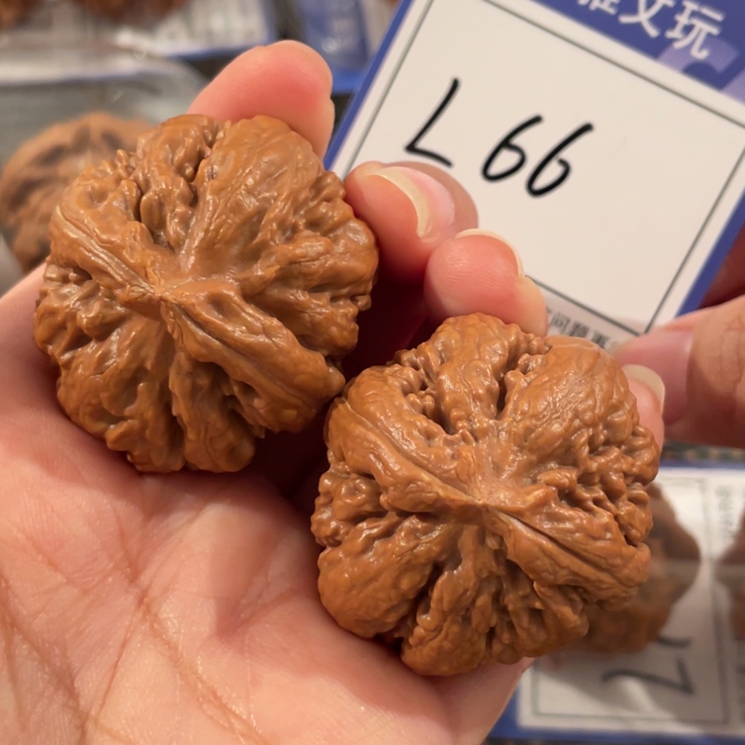 蚁***王把件文玩核桃L66 霸王龙 37