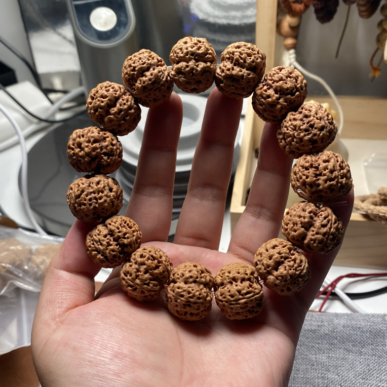（一物一图）奢品毕业级树王梅花大金刚菩提超肉