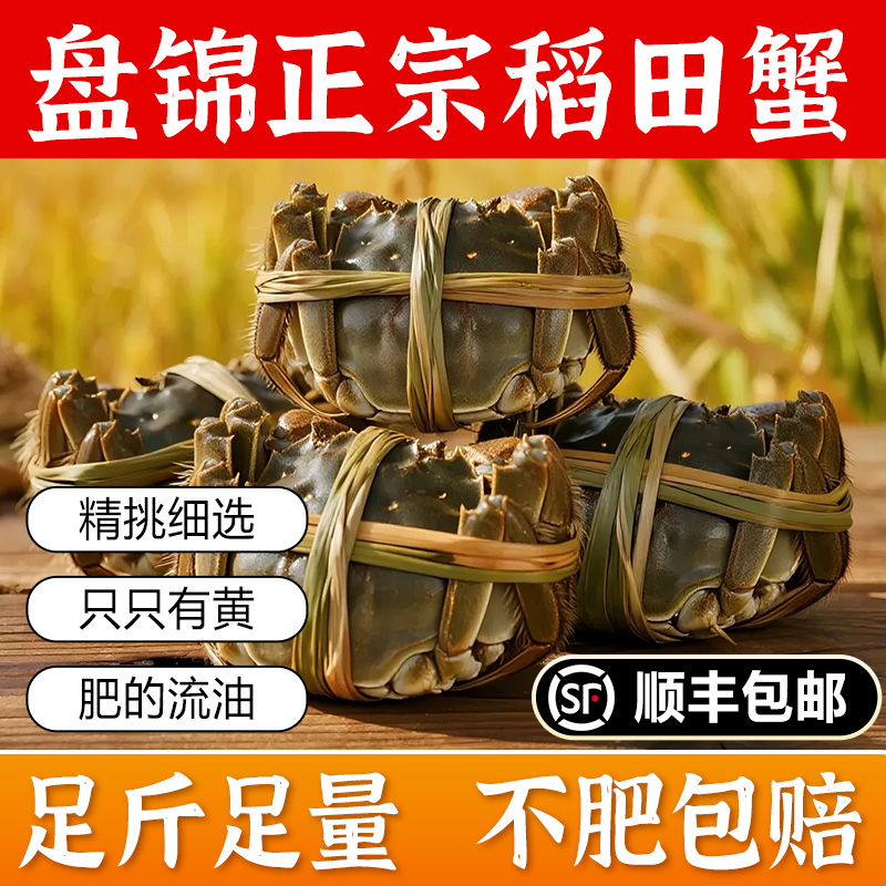 【活蟹】盘锦稻田蟹 每只0.9-1.2两母蟹 净重2斤 顺丰鲜活发货