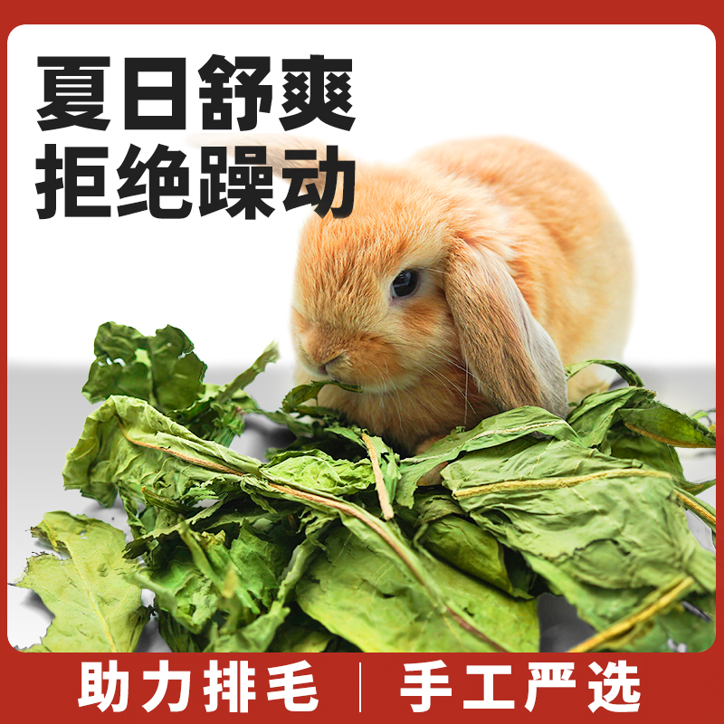 蒲公英干草兔子食用草粮草补充营养荷兰猪龙猫保健草