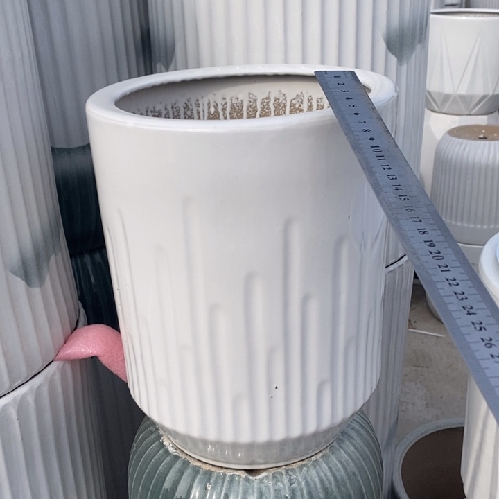 低腰白音符中号口26/32