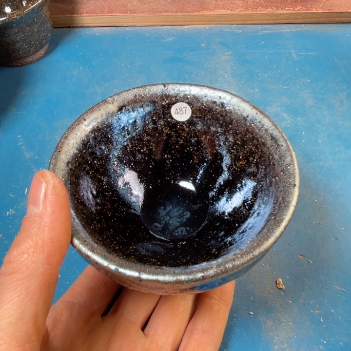 茶宠盏盏灯都是我的爱啊我