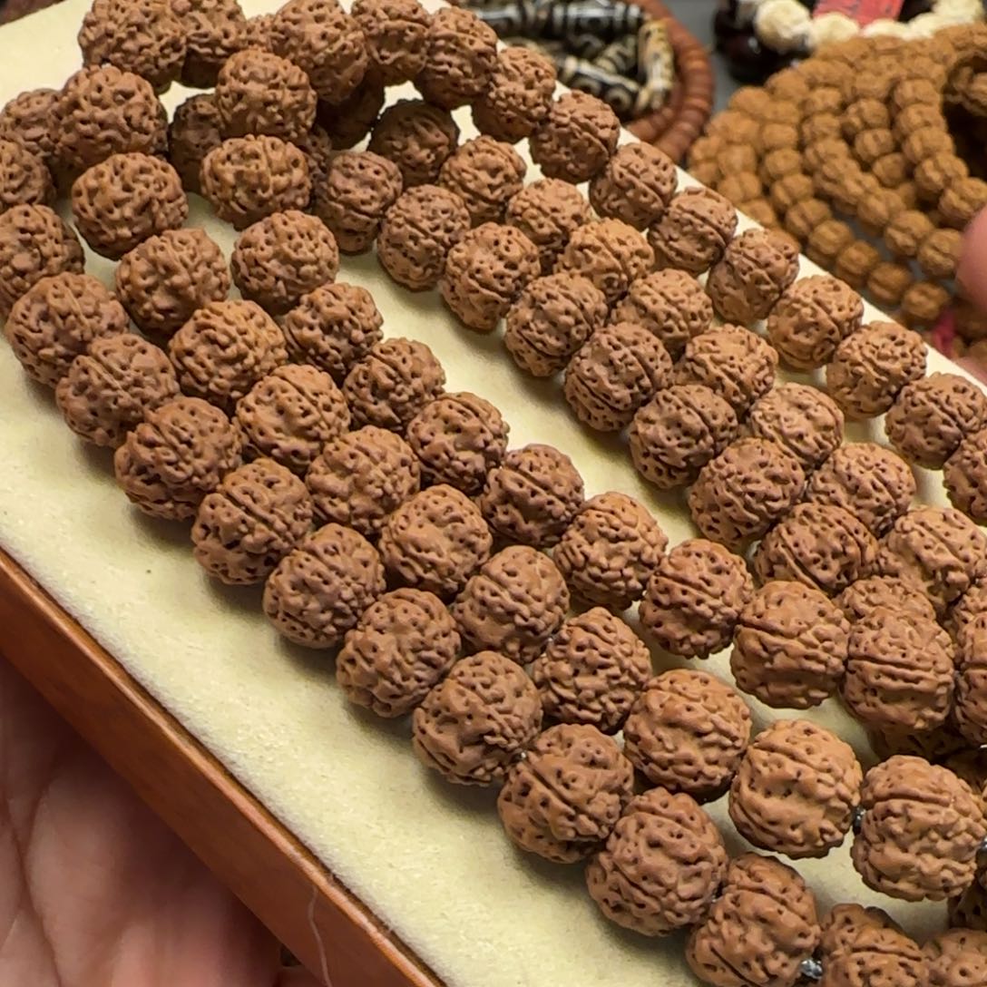 金刚菩提手串【入门级树祖/平细】手持11mm 发其一