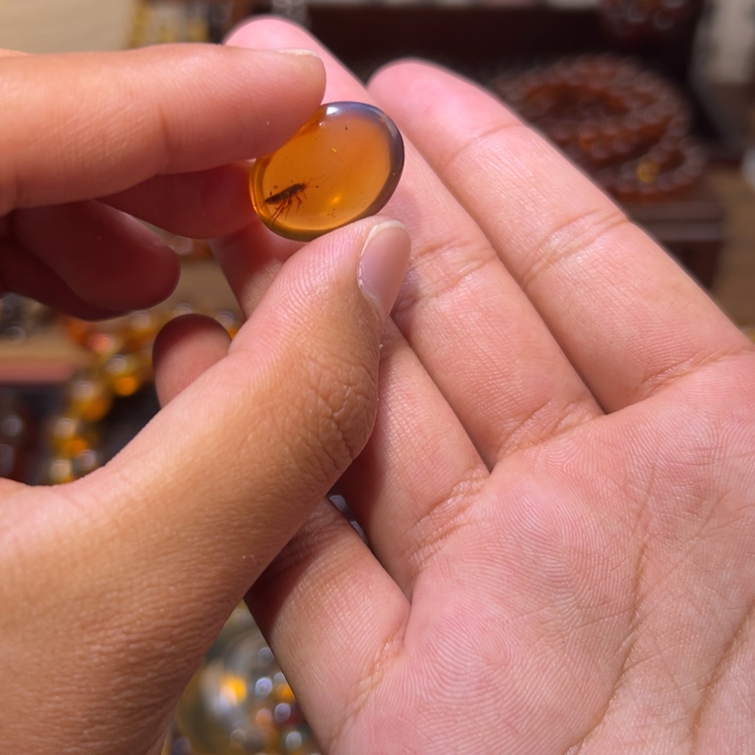 琥珀未镶嵌颈饰虫珀