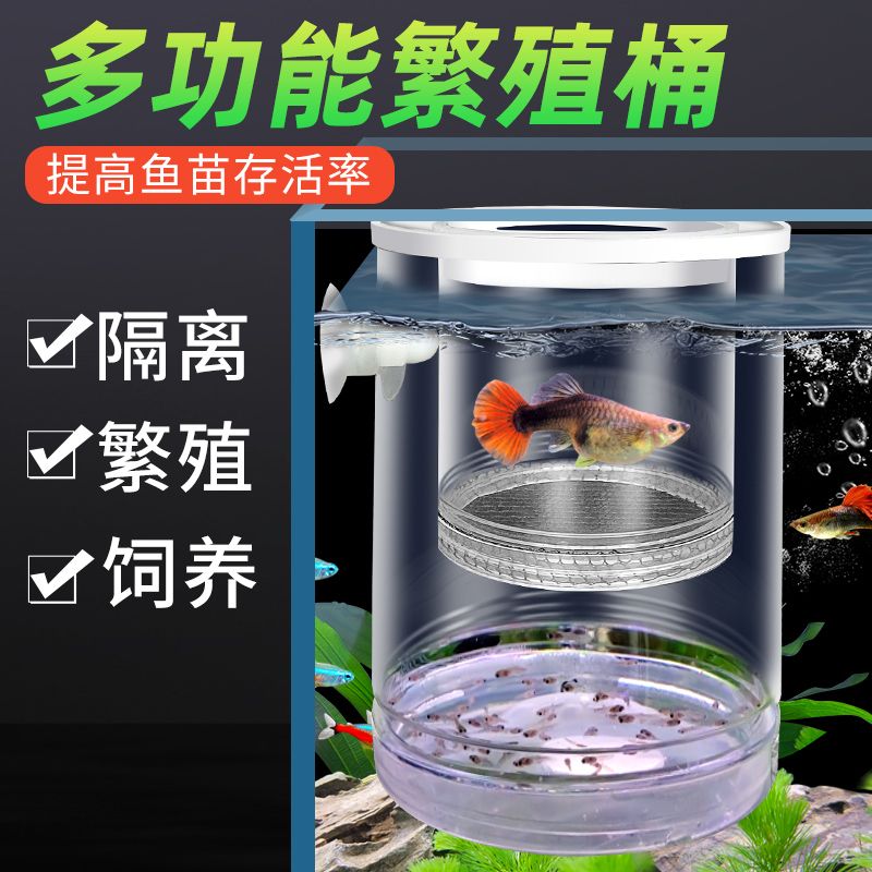 鱼缸悬浮式孔雀鱼繁殖隔离盒小鱼幼鱼苗凤尾母鱼产房漂浮孵化罐网