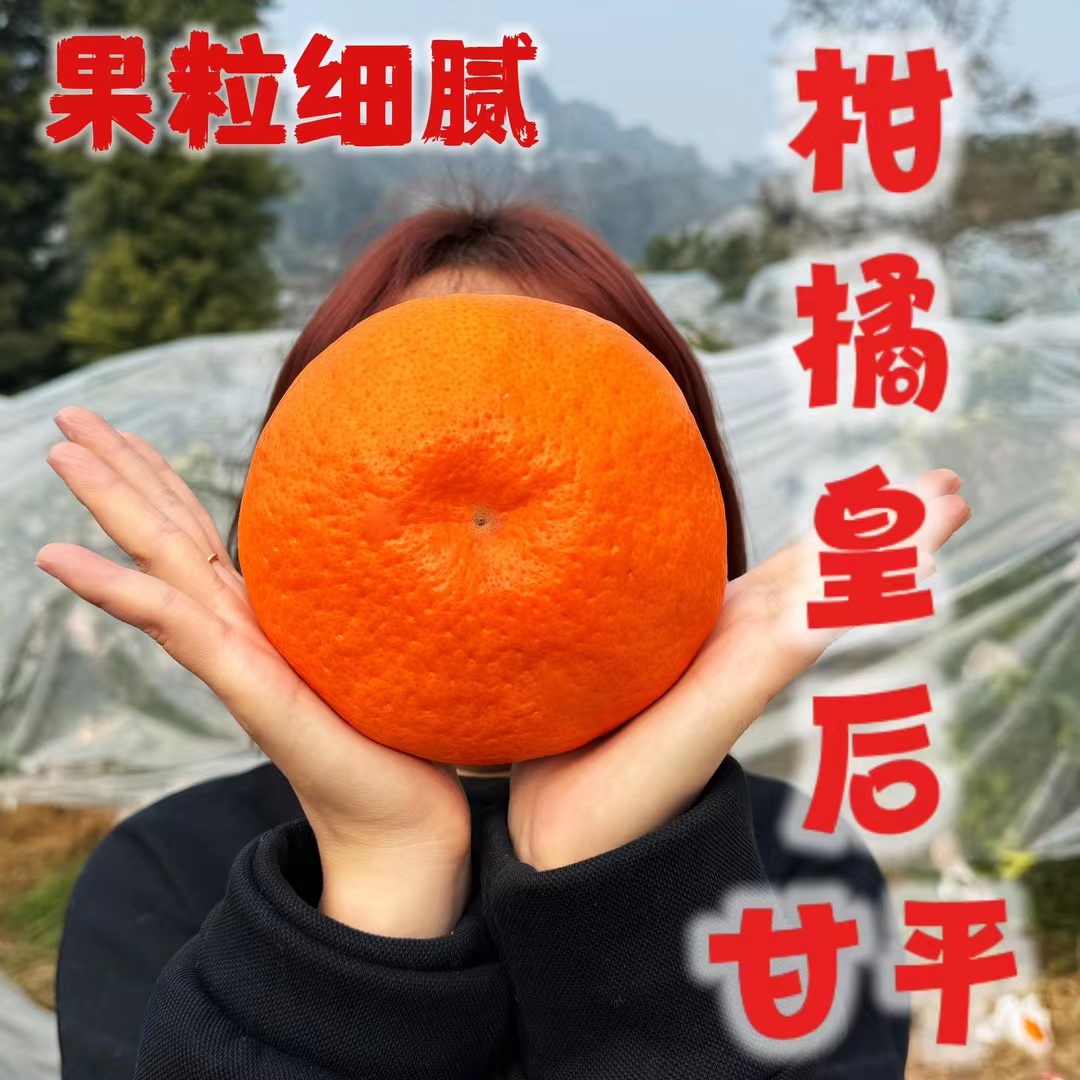 【全福品】正宗四川柑橘皇后甘平4.5斤细腻化渣纯甜不酸个头大