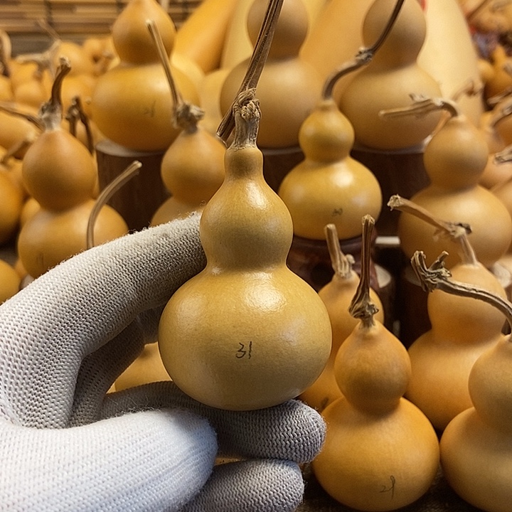 文玩葫芦 完美主义者 慎拍31