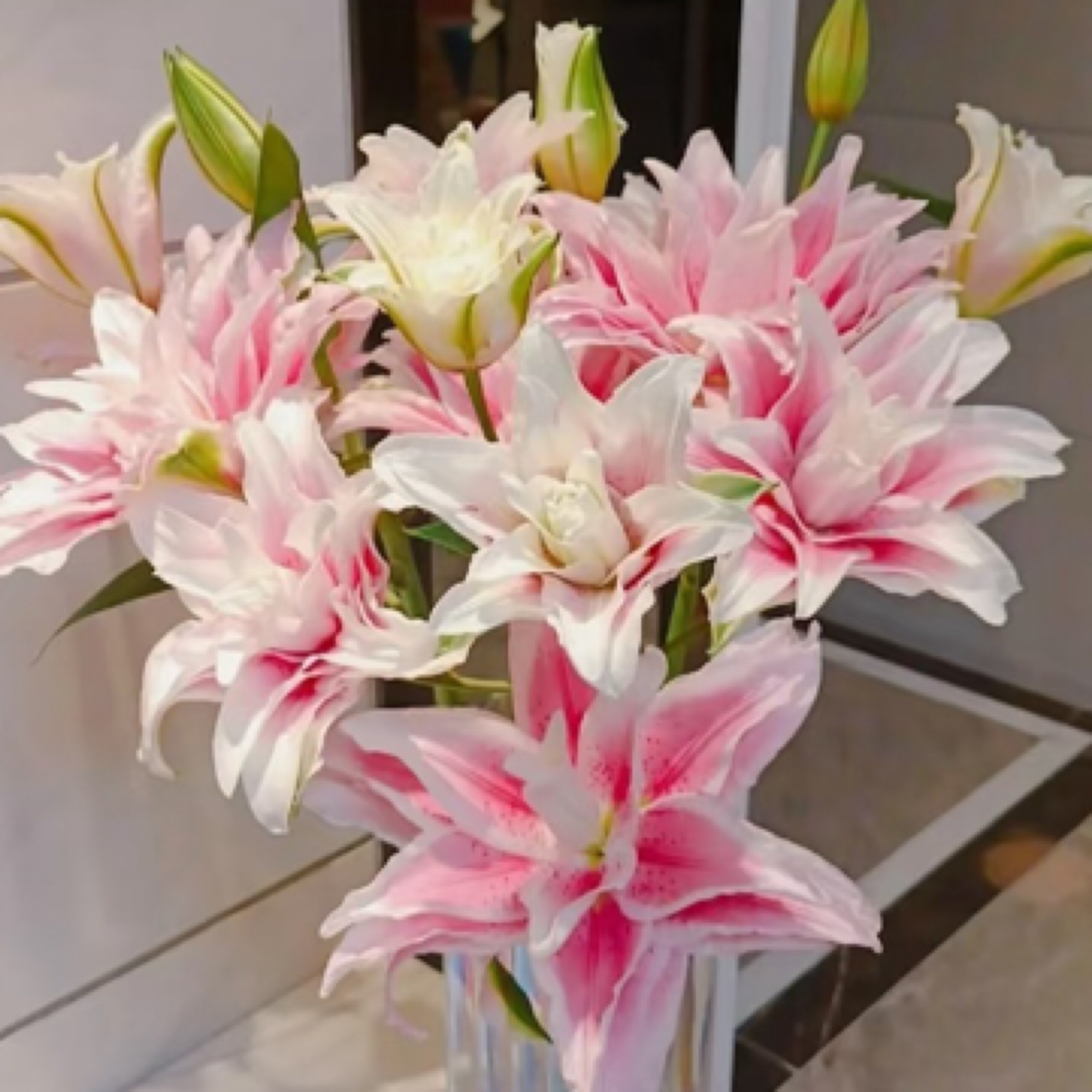 重瓣百合（云南鲜花三单包邮）