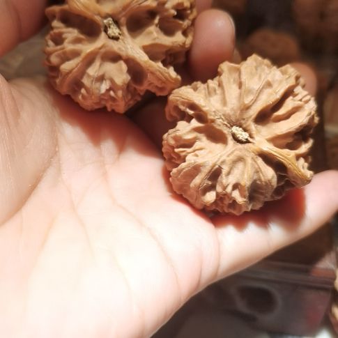 猴头核桃吊坠43苹果