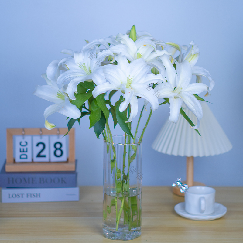 【白色香水百合】 云南基地直发鲜切花办公室内水养鲜花家庭插花