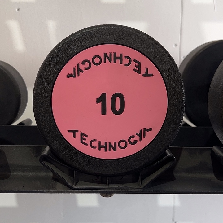 全新纯钢泰诺10公斤哑铃一对粉色