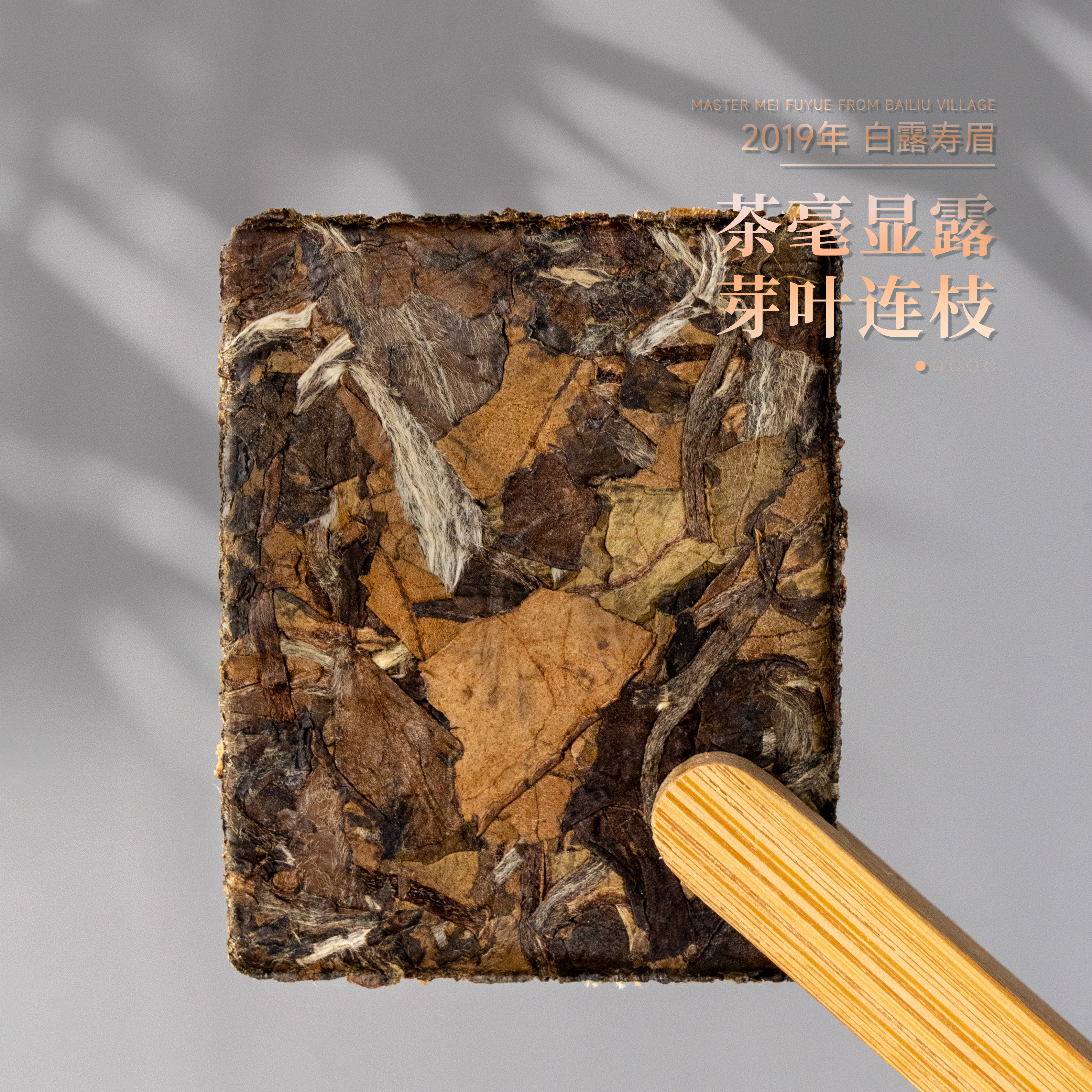 【新人福利】丨超好喝 2019年寿眉小方片 福鼎老白茶 办公茶 便携茶