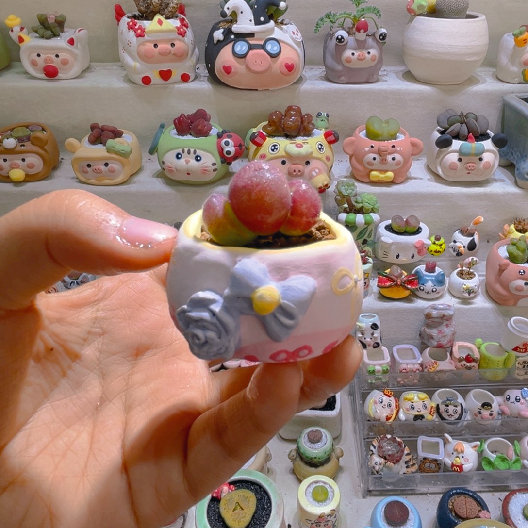 Z*zZ宝专属折扣链接拍拍