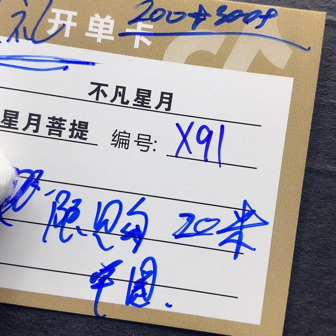 星月菩提吊坠iiiiiiix91