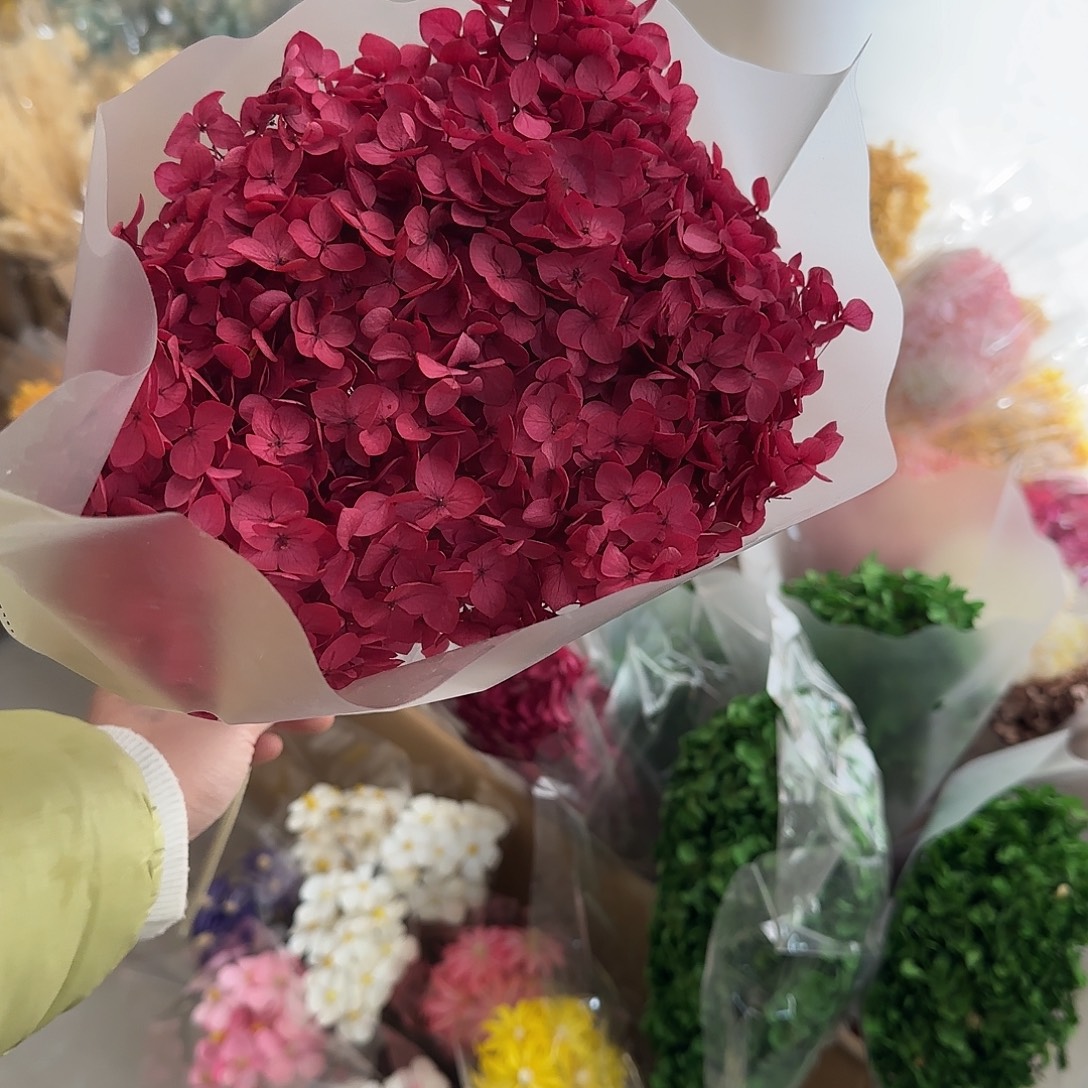 K44号玫红色1枝安娜