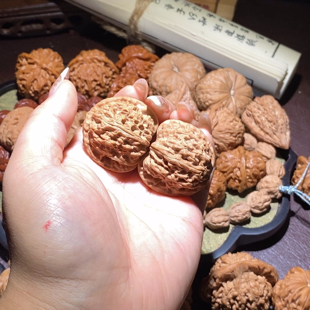 37全品白狮子小精品