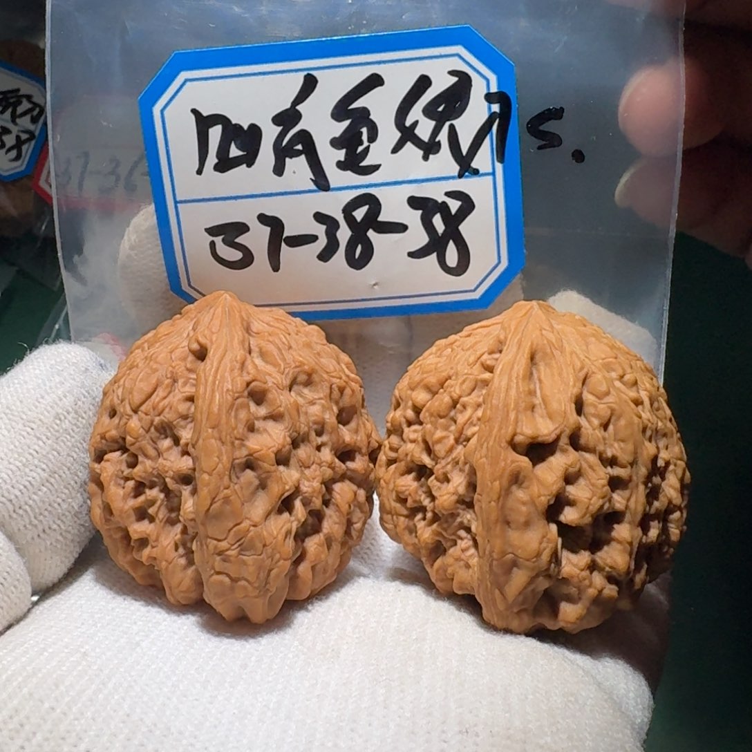 文玩核桃把件4号粗筋凹底妖刀龟s