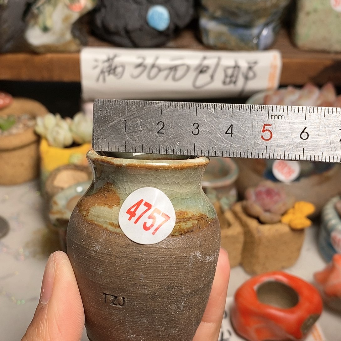 红陶拍5送一个小