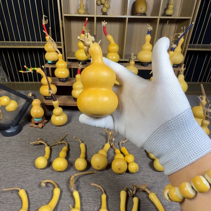 高靠，我这八哥啊