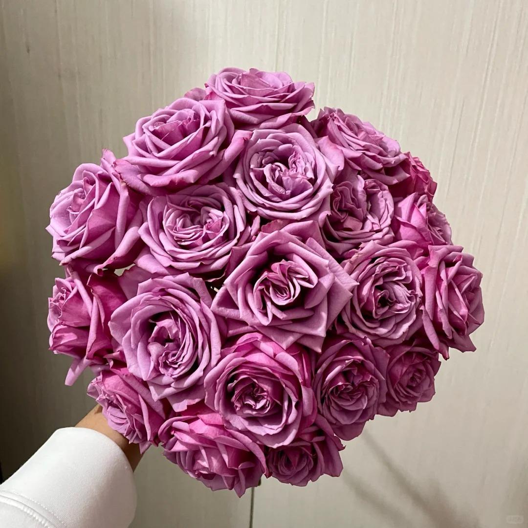 【冷美人玫瑰】斗南鲜花云南直发玫瑰鲜花两单京东冷链包邮