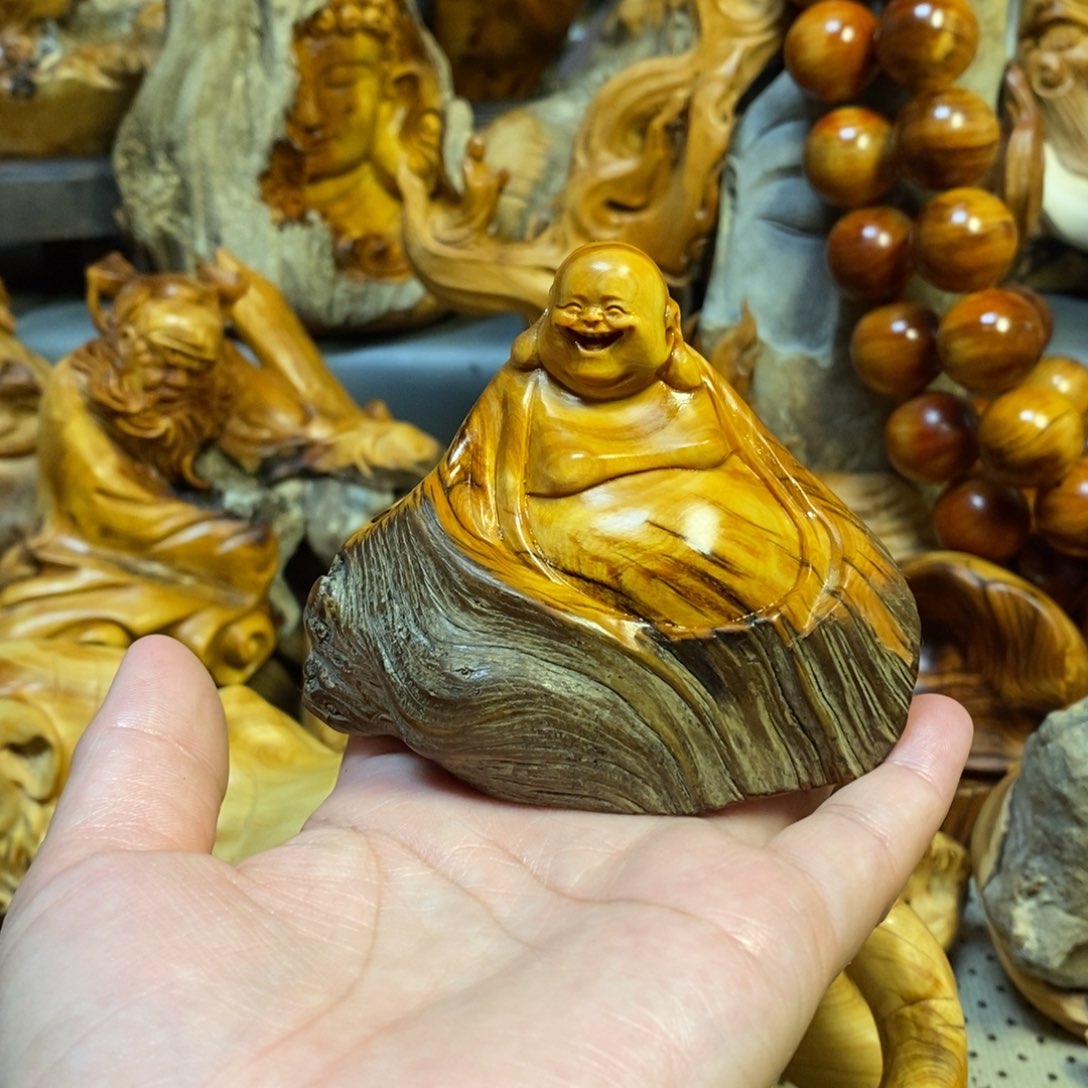 柏木（崖柏）小*太行山上